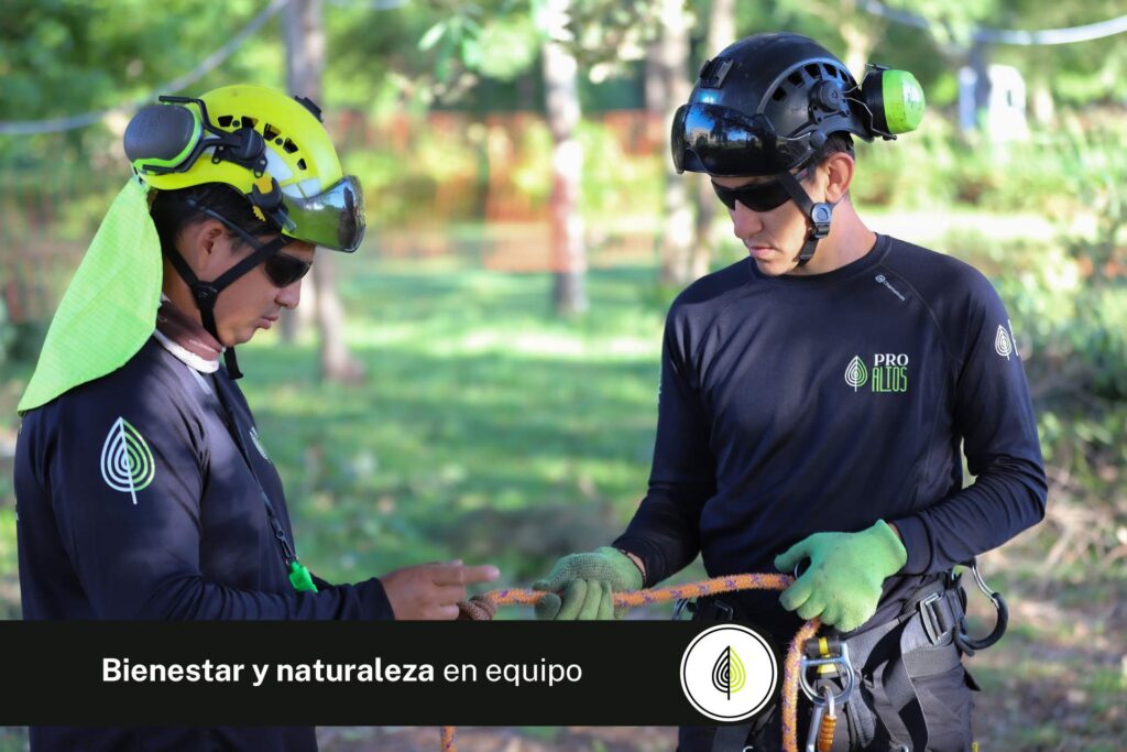 La Importancia del Buen Ambiente Laboral en el Cuidado de Áreas Verdes